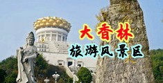 插少妇肉洞的视频中国浙江-绍兴大香林旅游风景区